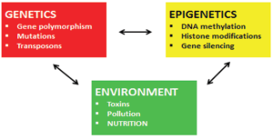 genetic_epidemics_environment